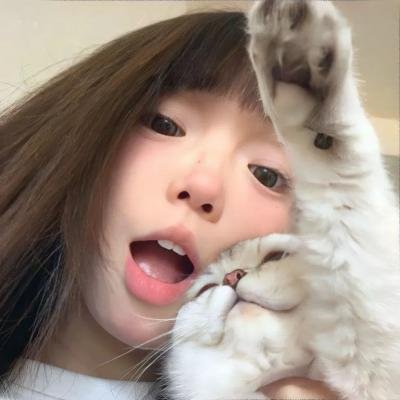 北京遇上西雅图 在线观看封面